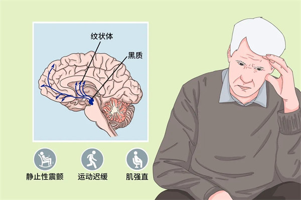 1.webp.jpg 1.webp.jpg