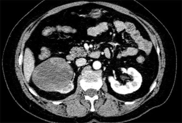 3.webp.jpg 3.webp.jpg