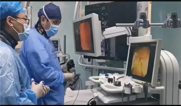 1.webp.jpg 1.webp.jpg