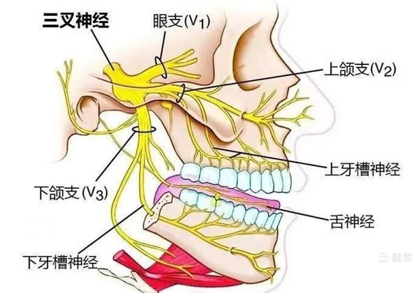 1.webp.jpg 1.webp.jpg