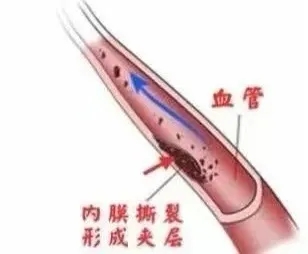 5.webp.jpg 5.webp.jpg