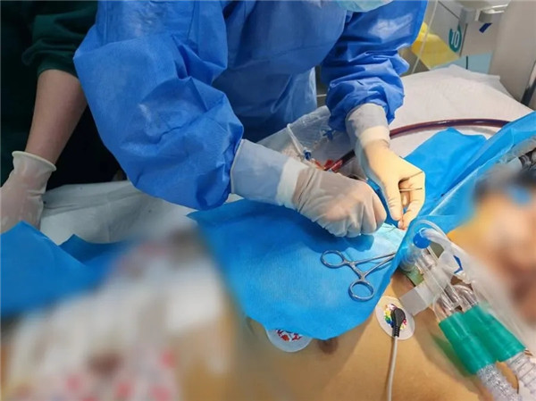 3.webp.jpg 3.webp.jpg