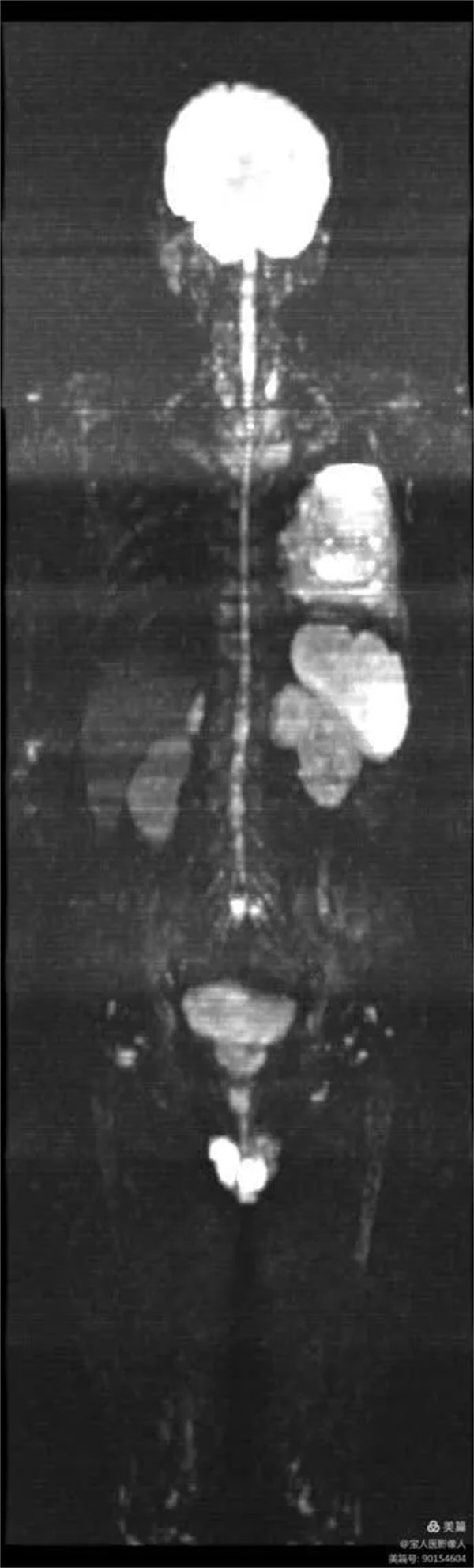 1.webp.jpg 1.webp.jpg