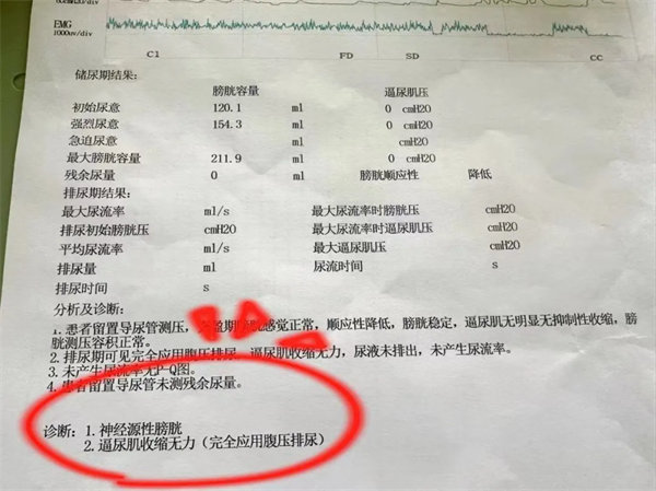 1.webp.jpg 1.webp.jpg