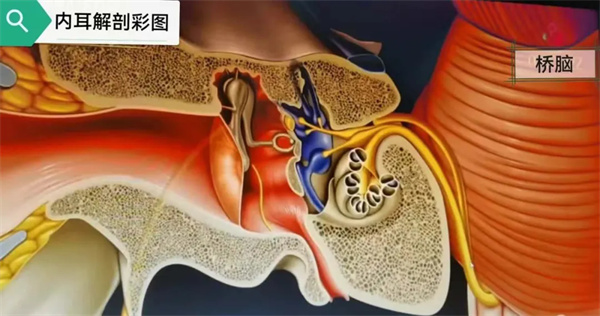 1.webp.jpg 1.webp.jpg