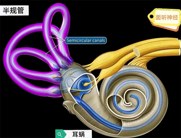 6.webp.jpg 6.webp.jpg