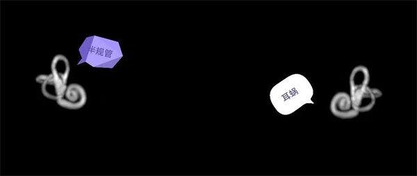 7.webp.jpg 7.webp.jpg