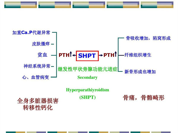 1.webp.jpg 1.webp.jpg