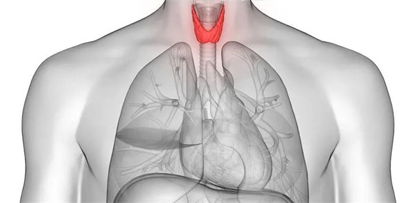 2.webp.jpg 2.webp.jpg