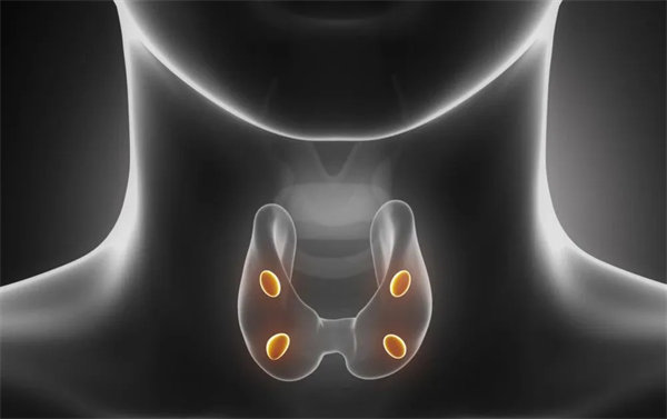 3.webp.jpg 3.webp.jpg