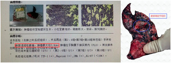 3.webp.jpg 3.webp.jpg