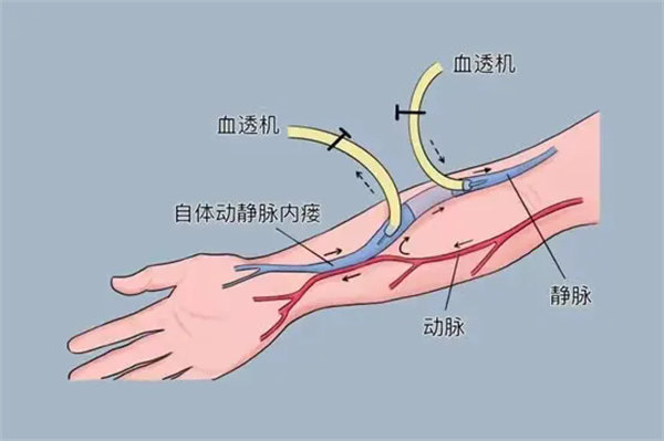 1.webp.jpg 1.webp.jpg