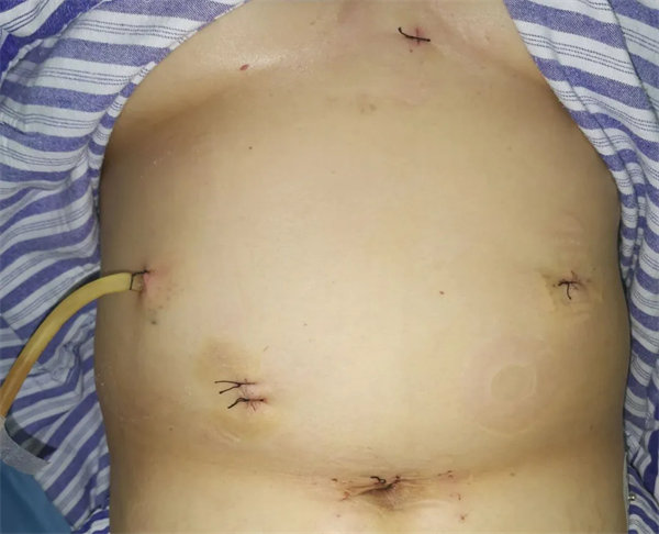 2.webp.jpg 2.webp.jpg