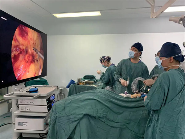 1.webp.jpg 1.webp.jpg