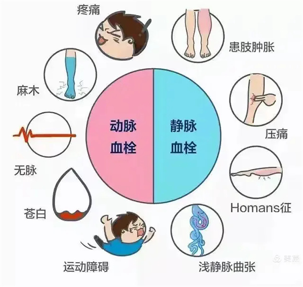 2.webp.jpg 2.webp.jpg