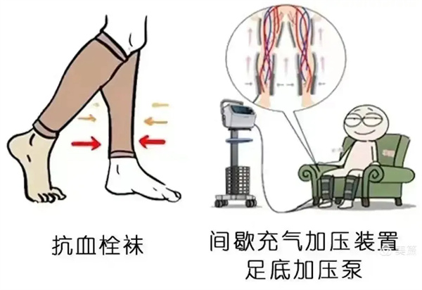 9.webp.jpg 9.webp.jpg