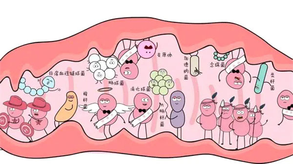 1.webp.jpg 1.webp.jpg