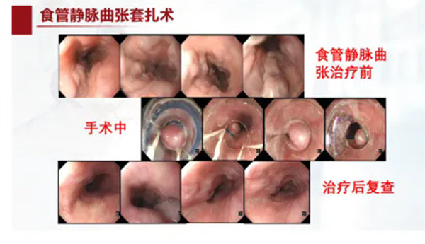 9.webp.jpg 9.webp.jpg