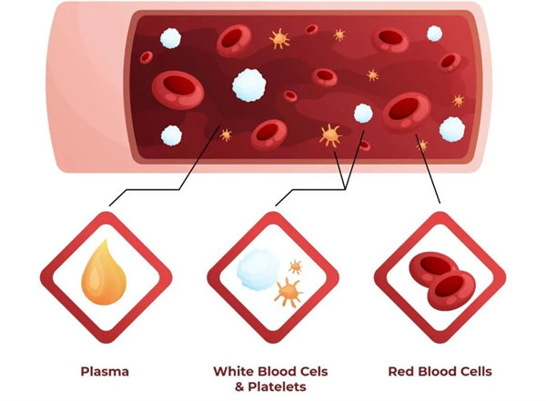 1.webp.jpg 1.webp.jpg
