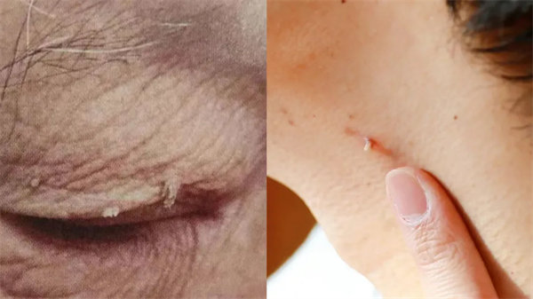 1.webp.jpg 1.webp.jpg